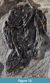 s figure13