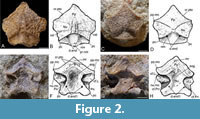 s figure2
