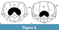 s figure4