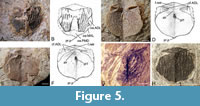 s figure5
