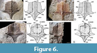 s figure6