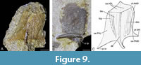 s figure9