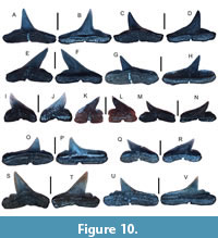 s figure10