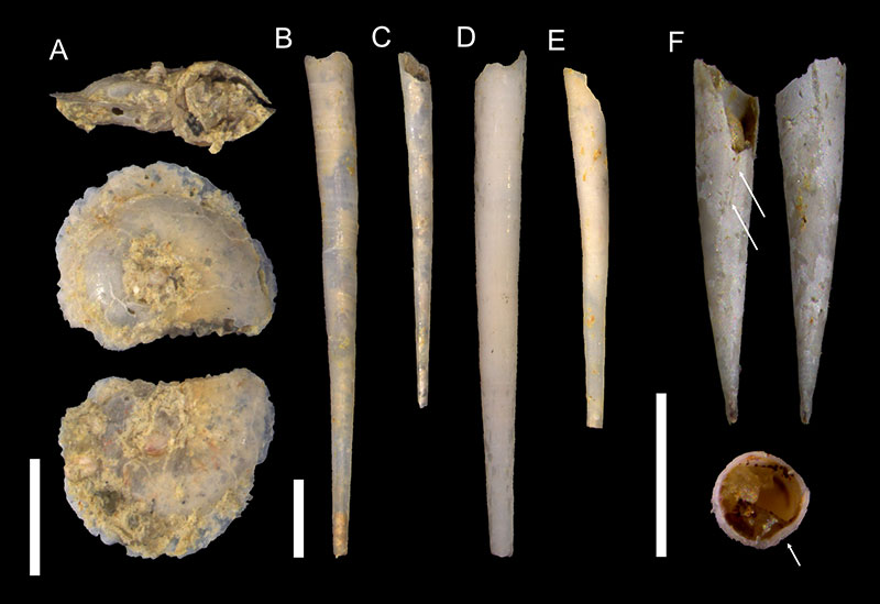 figure2