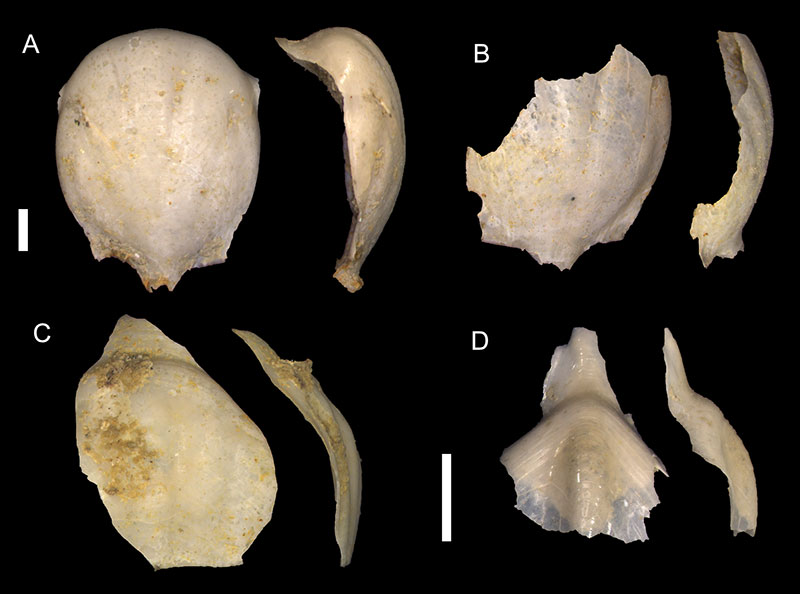 figure3