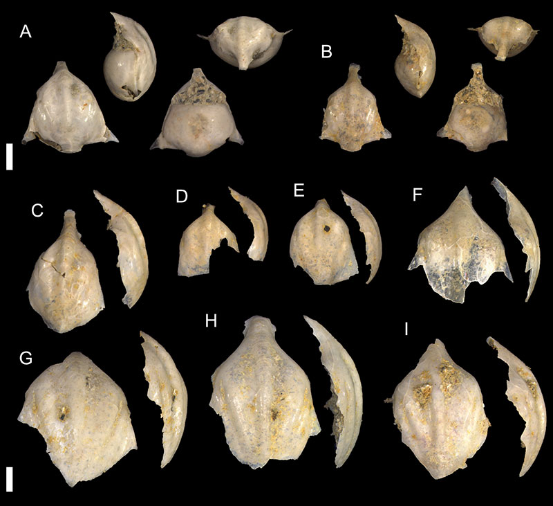 figure4