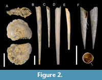 s figure2
