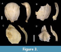 s figure3