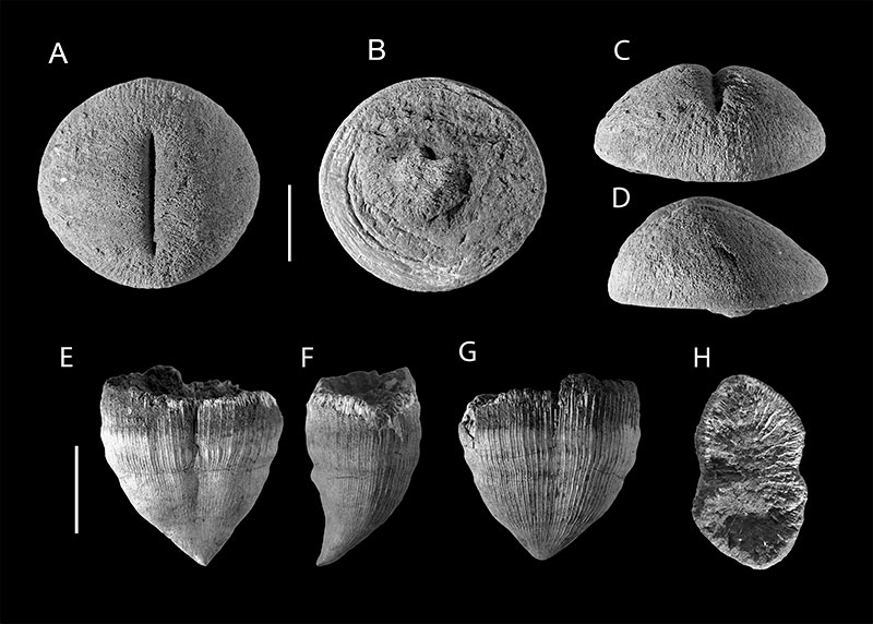 figure10