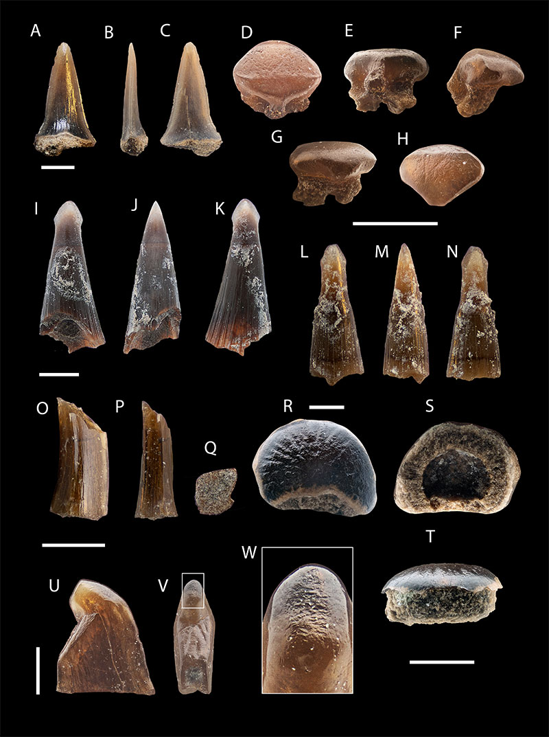 figure12