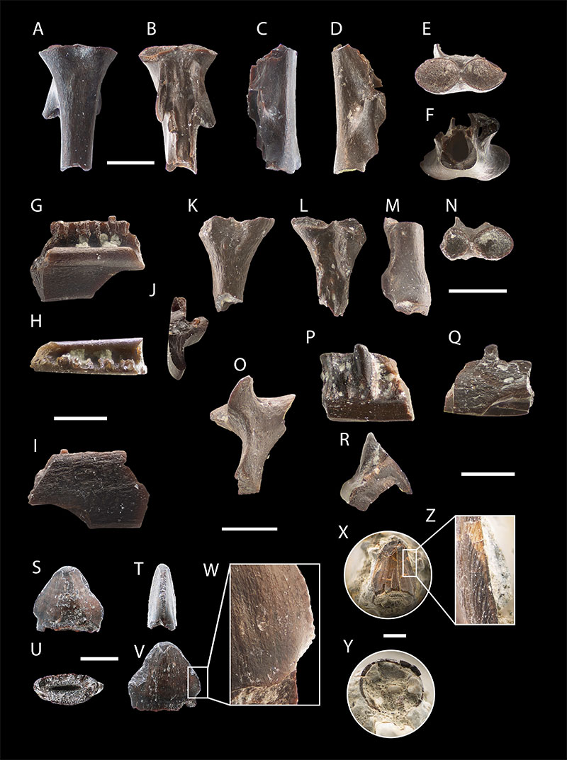 figure14