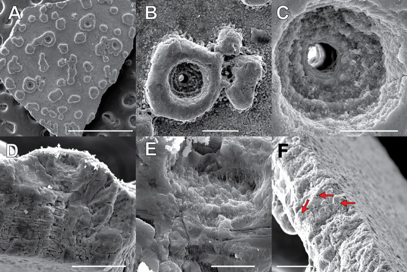 figure15