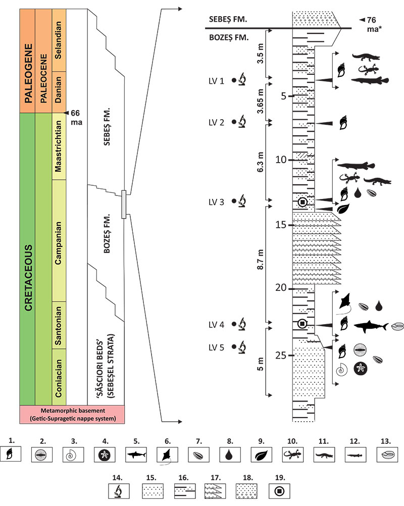 figure2a