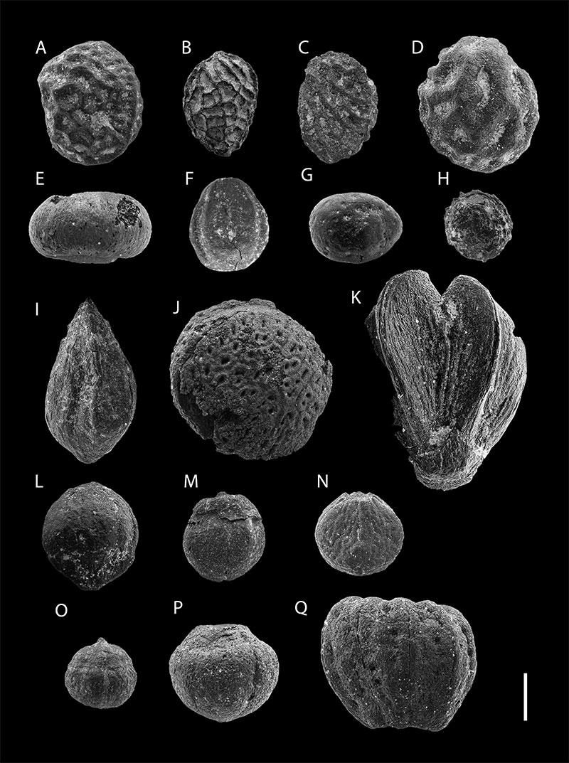 figure4