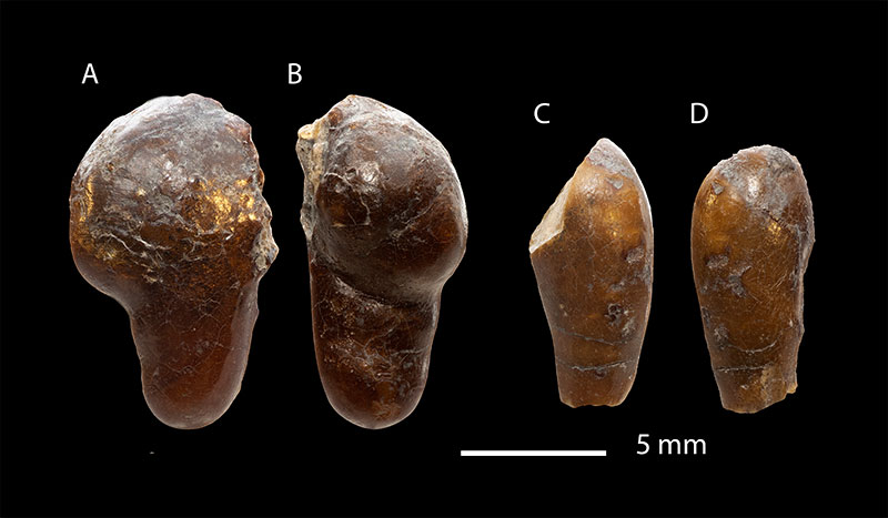 figure6
