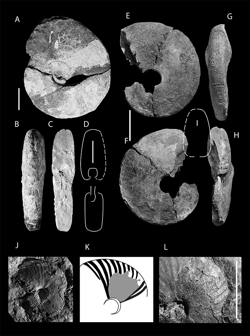 figure7