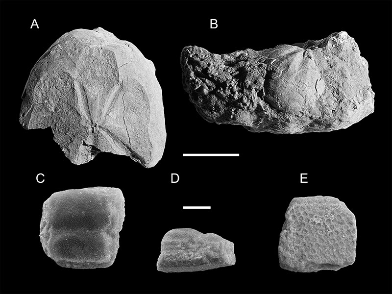 figure9
