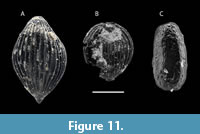 s figure11