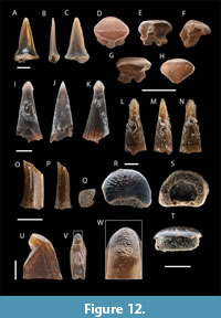 s figure12