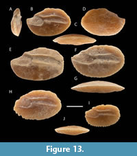 s figure13