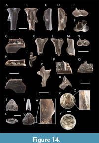 s figure14
