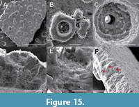 s figure15