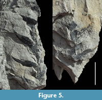 s figure5