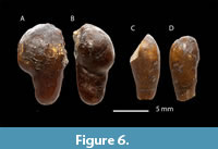 s figure6