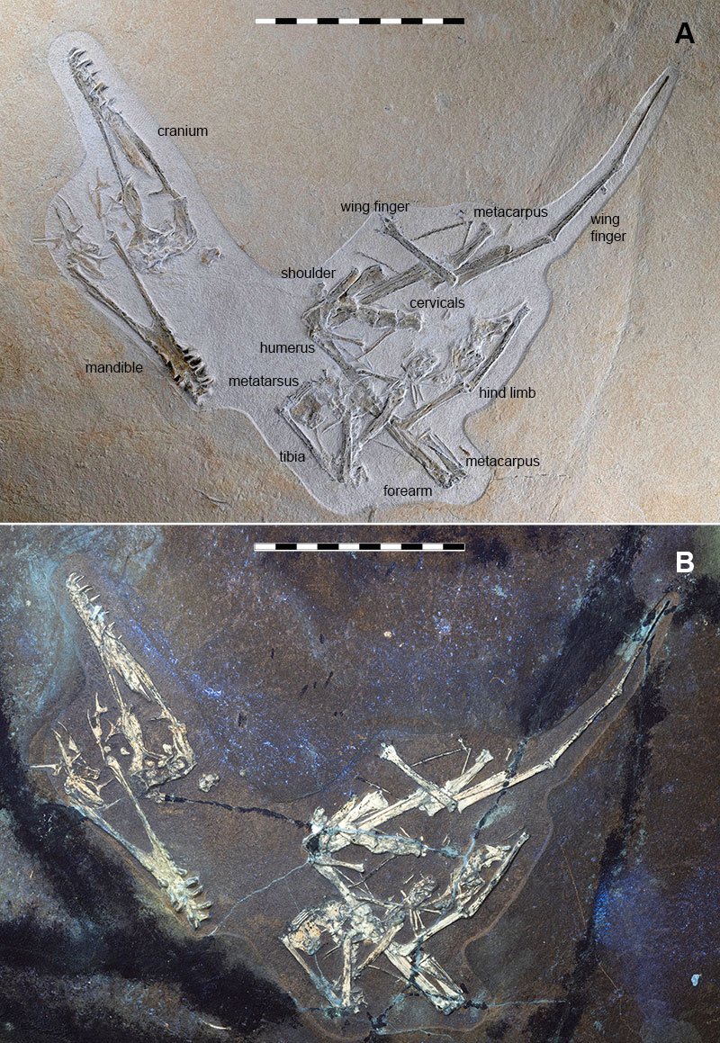 figure1