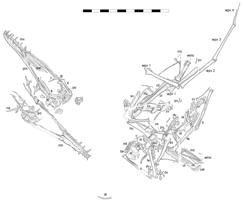 figure2