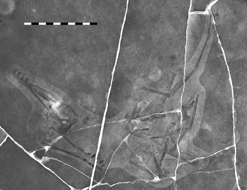 figure3