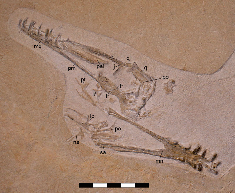 figure4