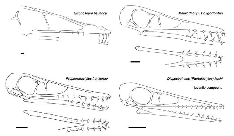 figure7