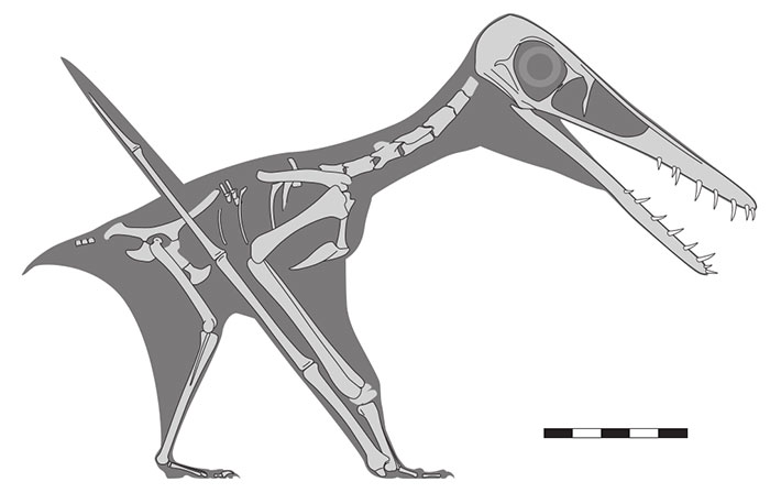 figure9