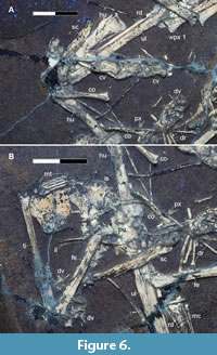 s figure6