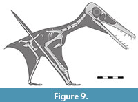 s figure9