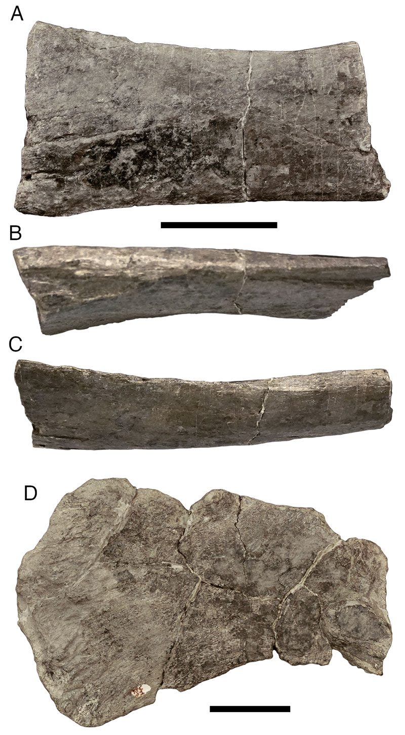 figure10