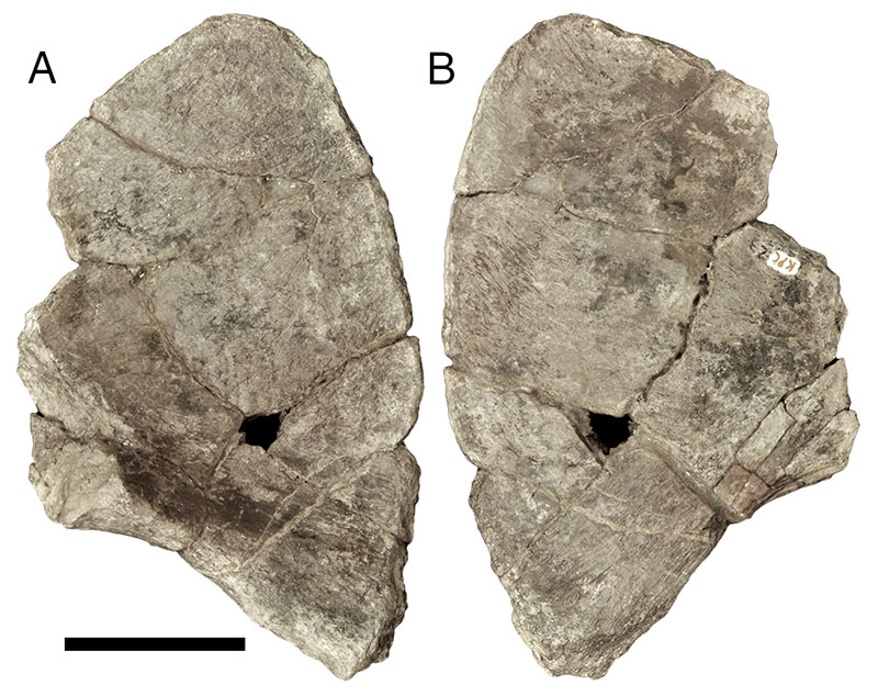 figure11