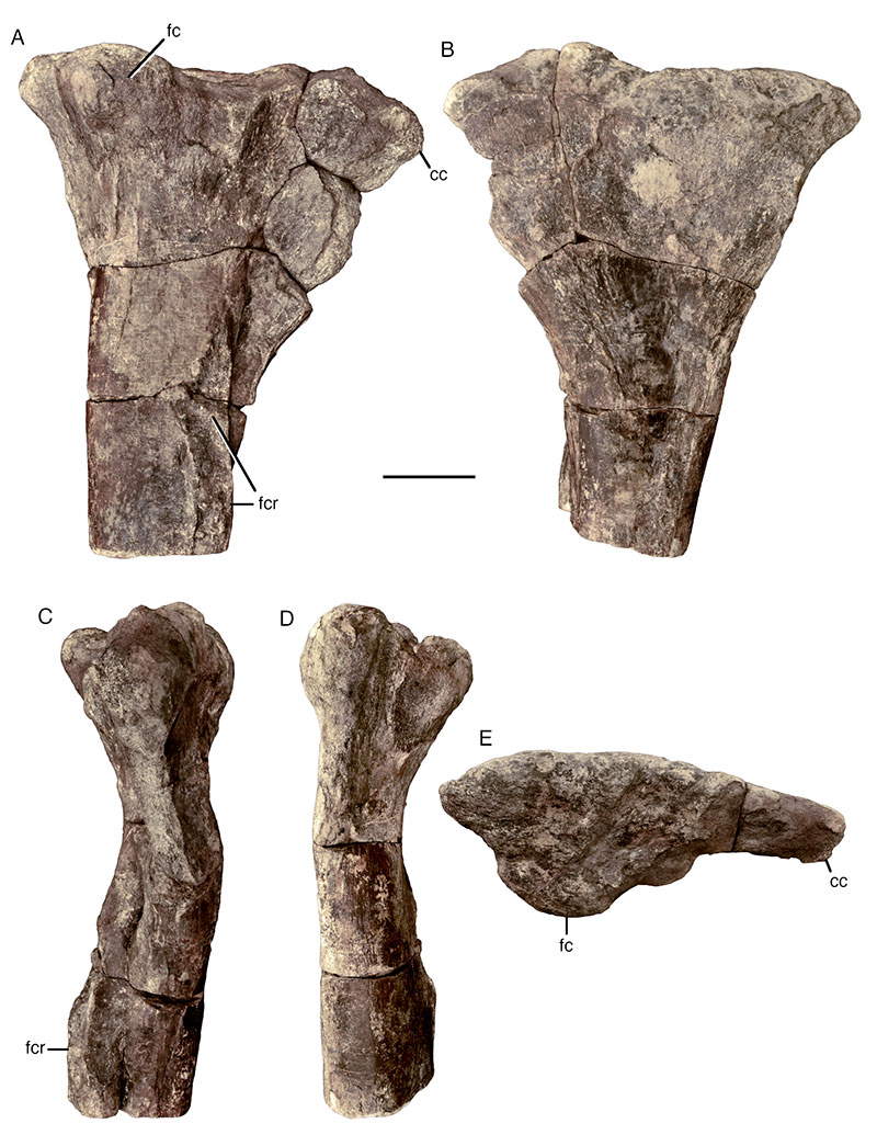 figure13