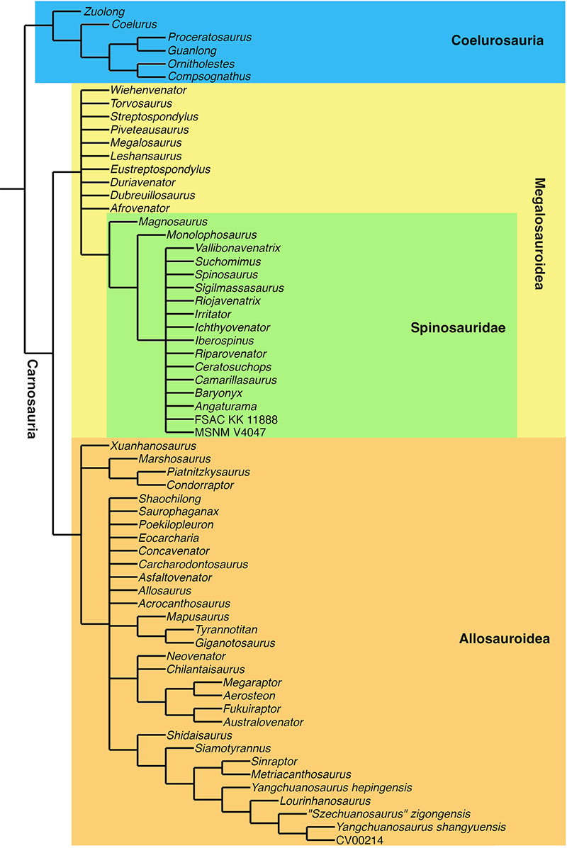 figure15