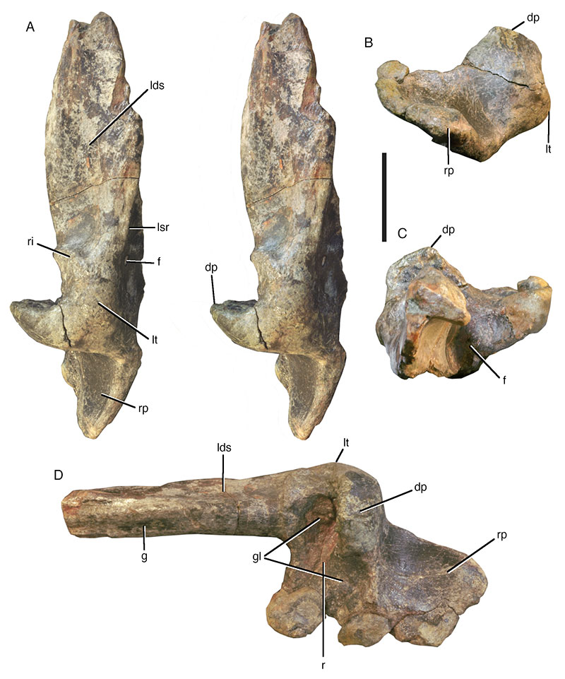 figure3