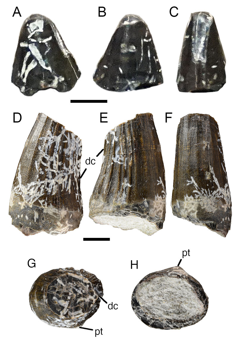 figure4
