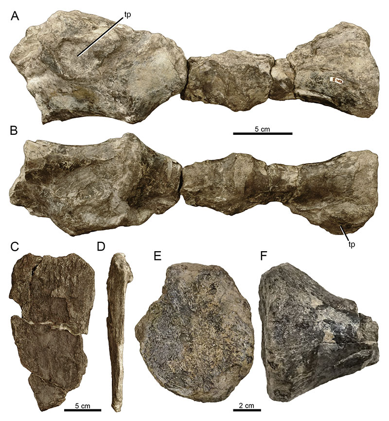 figure6