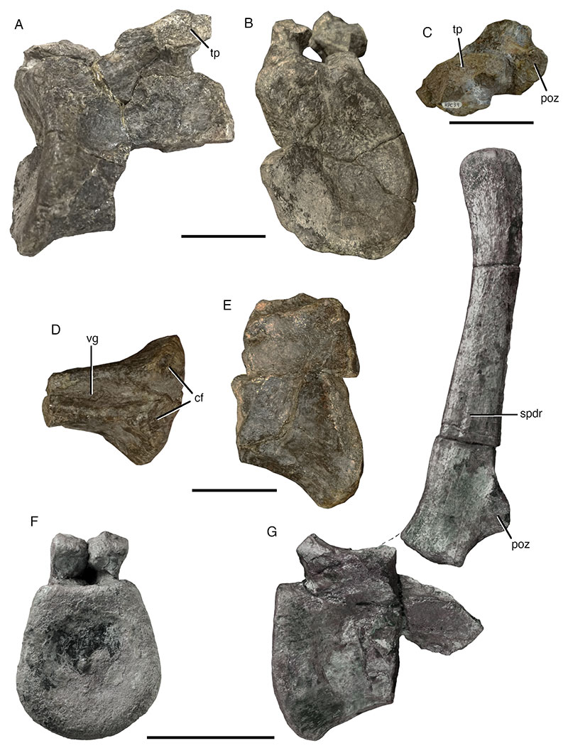 figure7