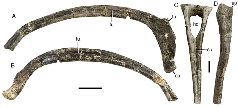 figure9