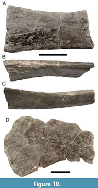 s figure10