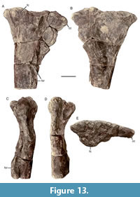 s figure13