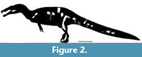 s figure2