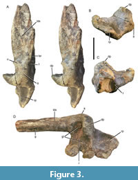 s figure3