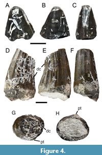 s figure4